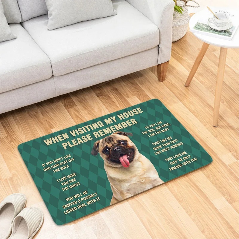 Dog Funny Door Mat Small Carpe - Home Bathroom Reno recension och pris