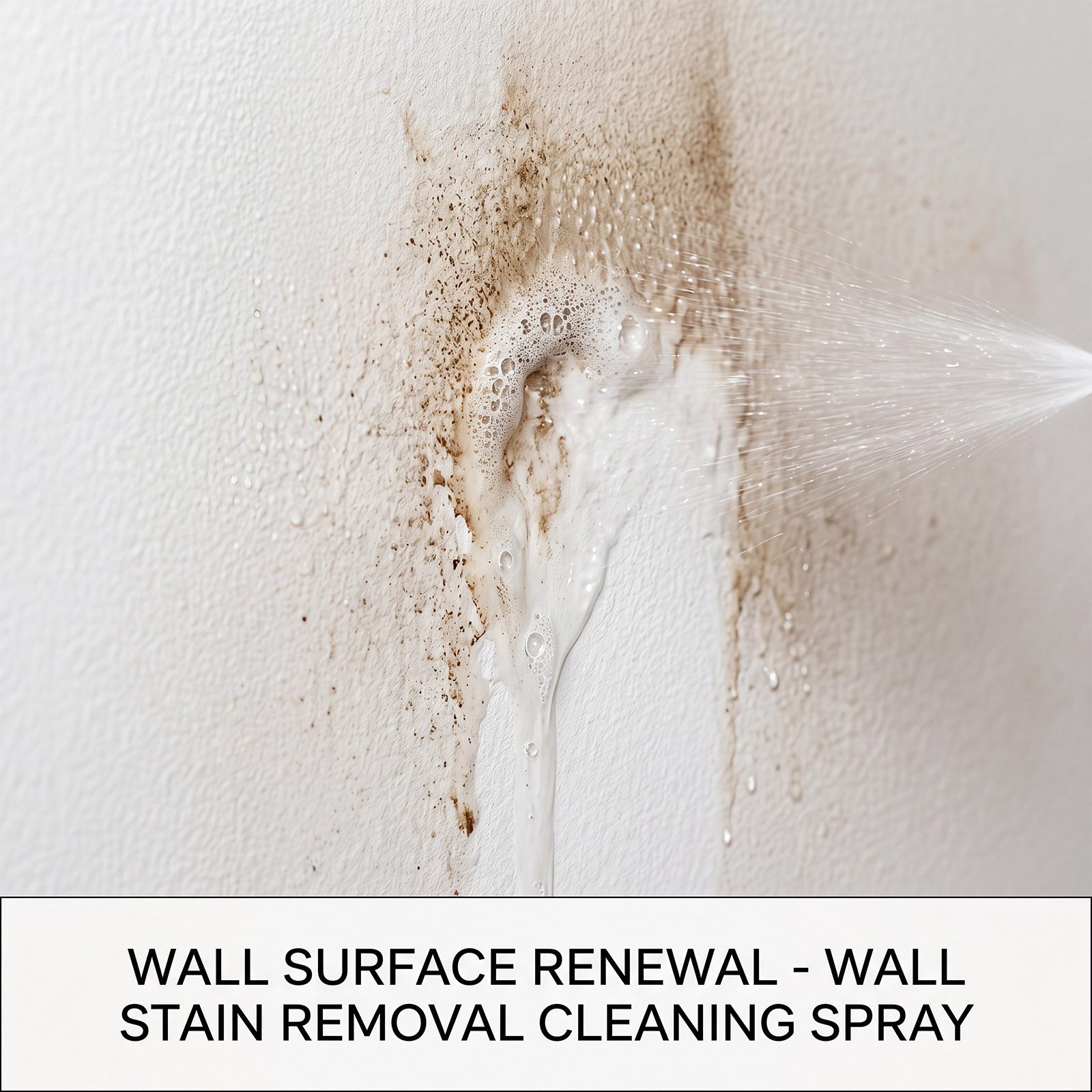 Mildew Remover Wall Spray Clea - Home Bathroom Cleaner recension och pris